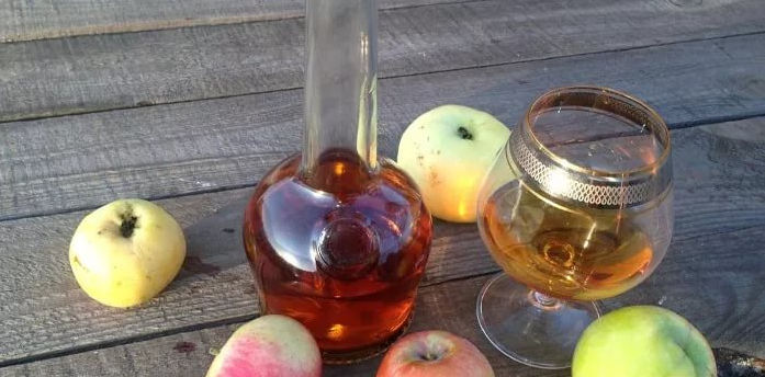 Рецепт для приготовления бражки из яблок