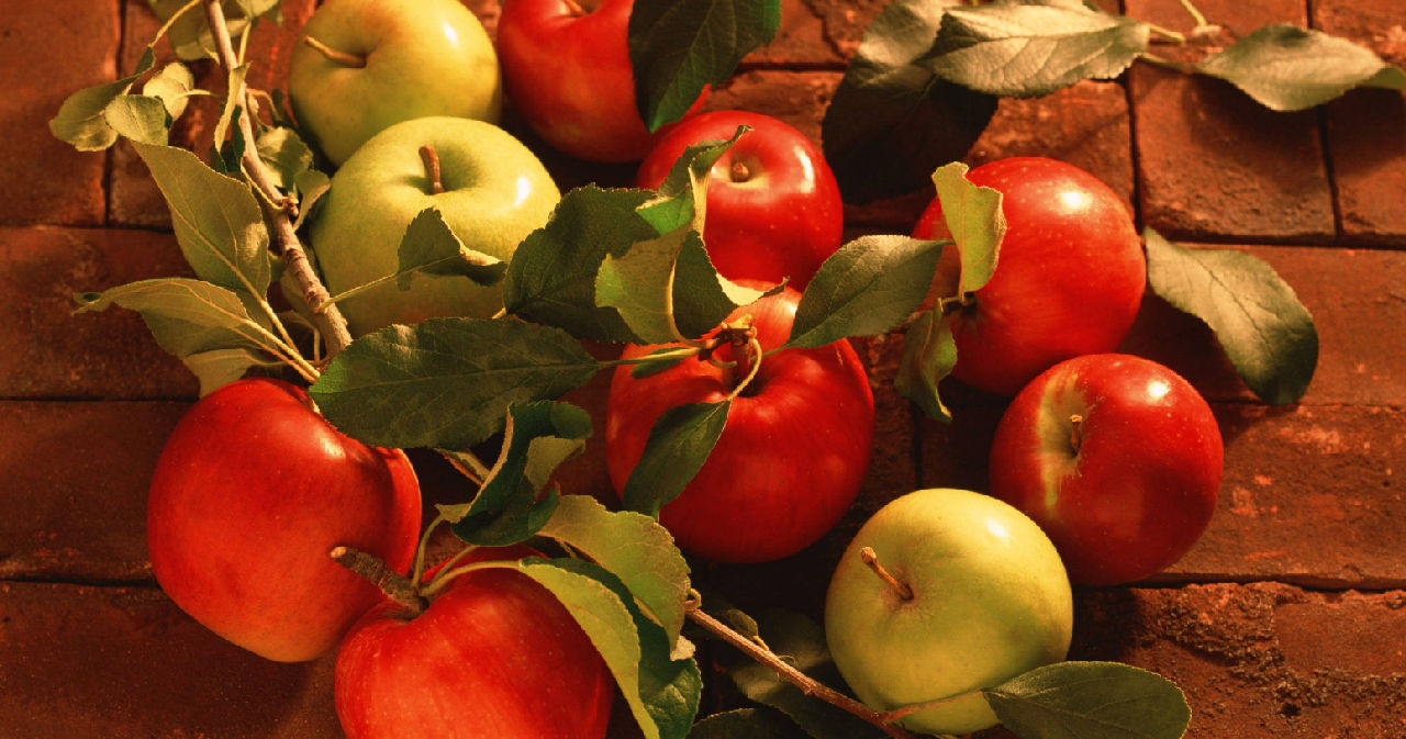 Основные принципы производства яблочного вина